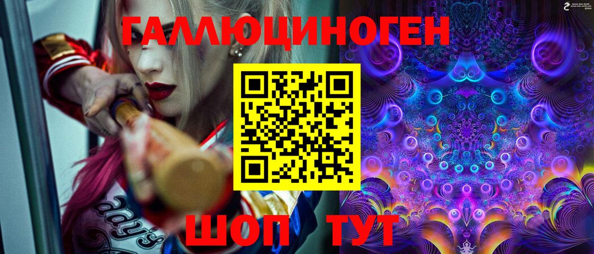 Галлюциногенные грибы Psilocybine cubensis  дарнет шоп  Малгобек 