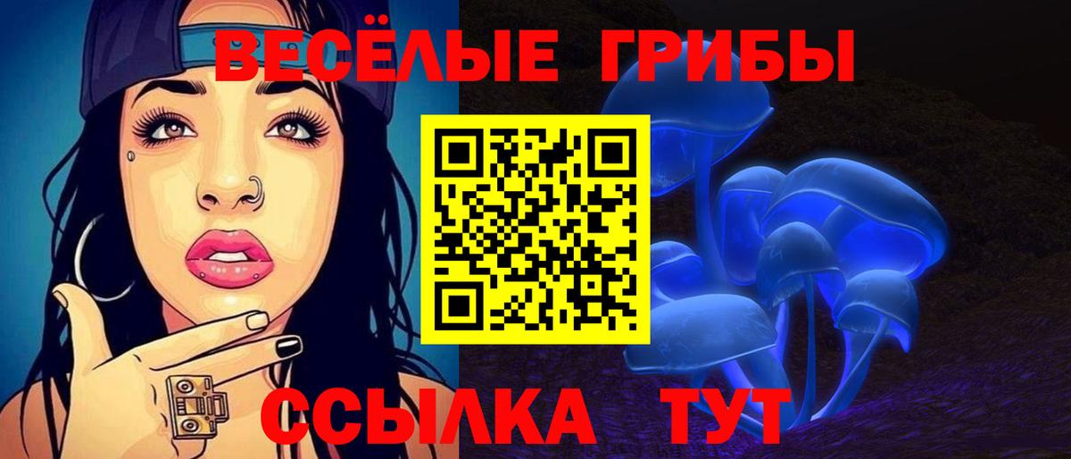 Малгобек  Галлюциногенные грибы Magic Shrooms  Вход с VPN 