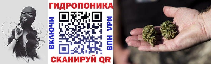 Бошки Шишки тримм  Малгобек 